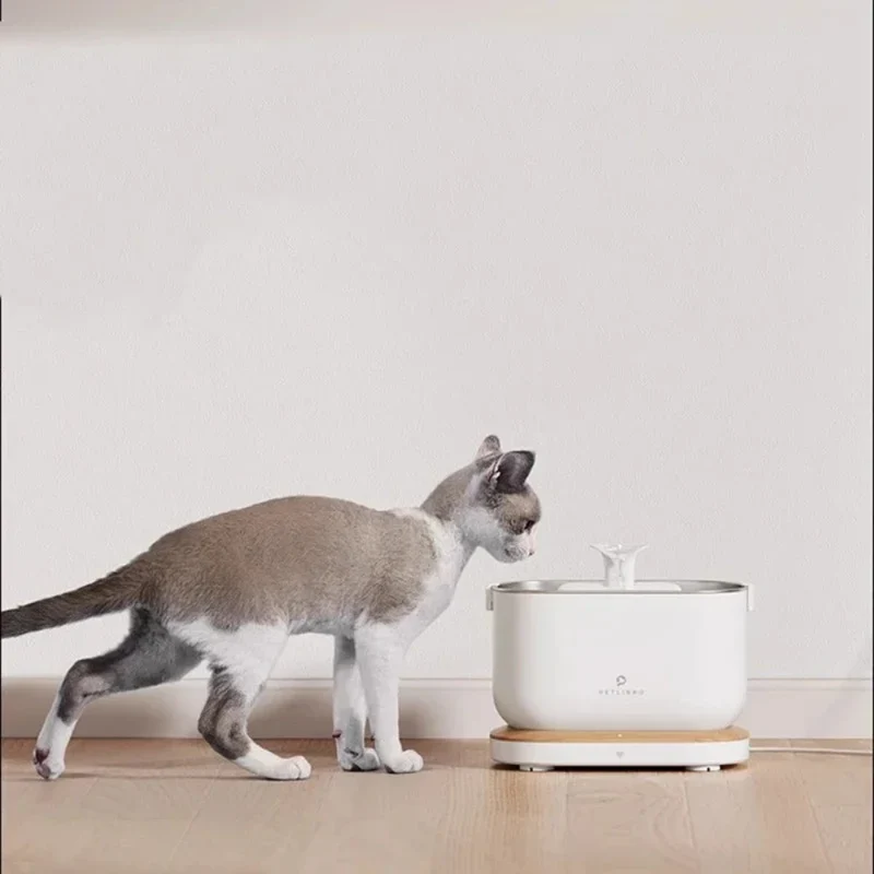 Katzenfutterspender aus Kunststoff™ | Intelligenter, geräuschloser Futterautomat für Katzen