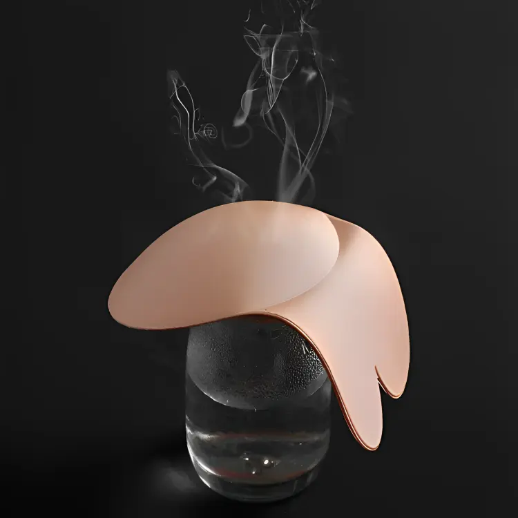 Liftique™ | Lift-Up-BH