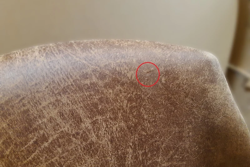 B-Ware KAWOLA Stuhl Cali Sessel Microfaser hellgrau Füße Edelstahl