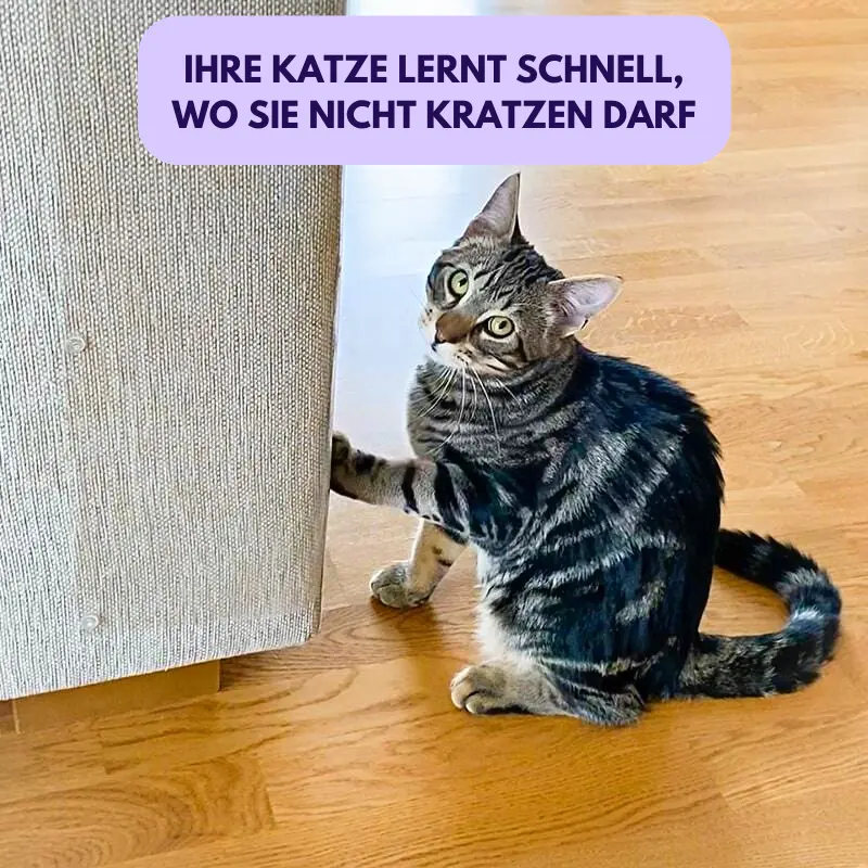 Kratzfesti™ | Kratzschutz für Möbel
