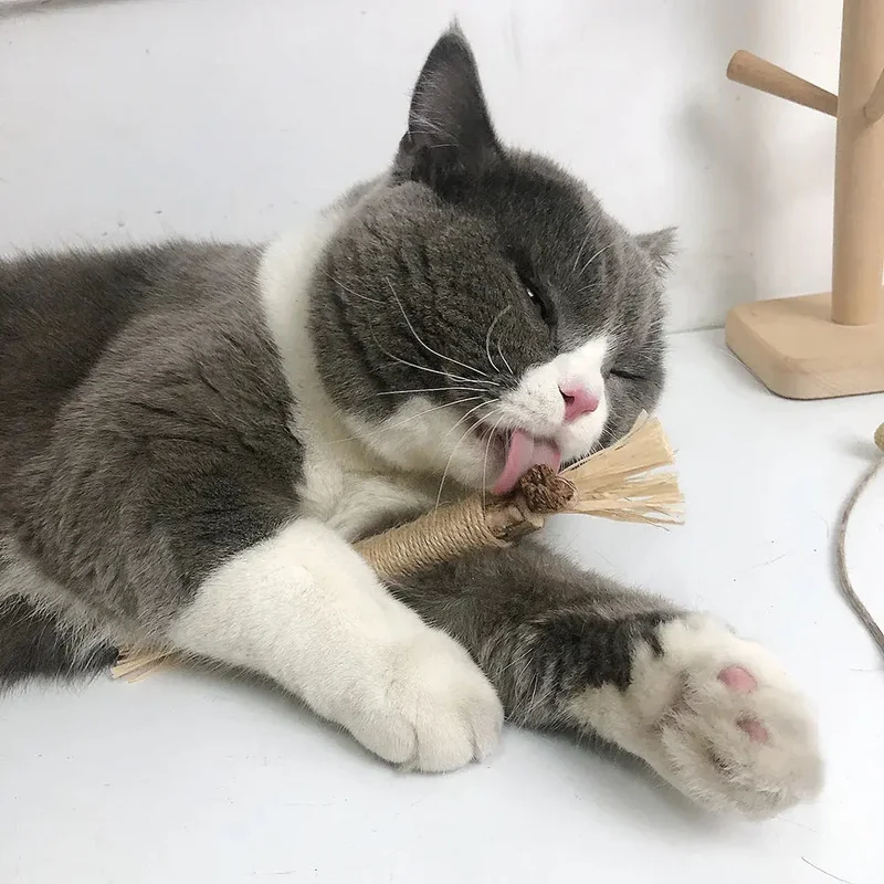 Purrfection™ | 5 x Kaustäbchen für Katzen