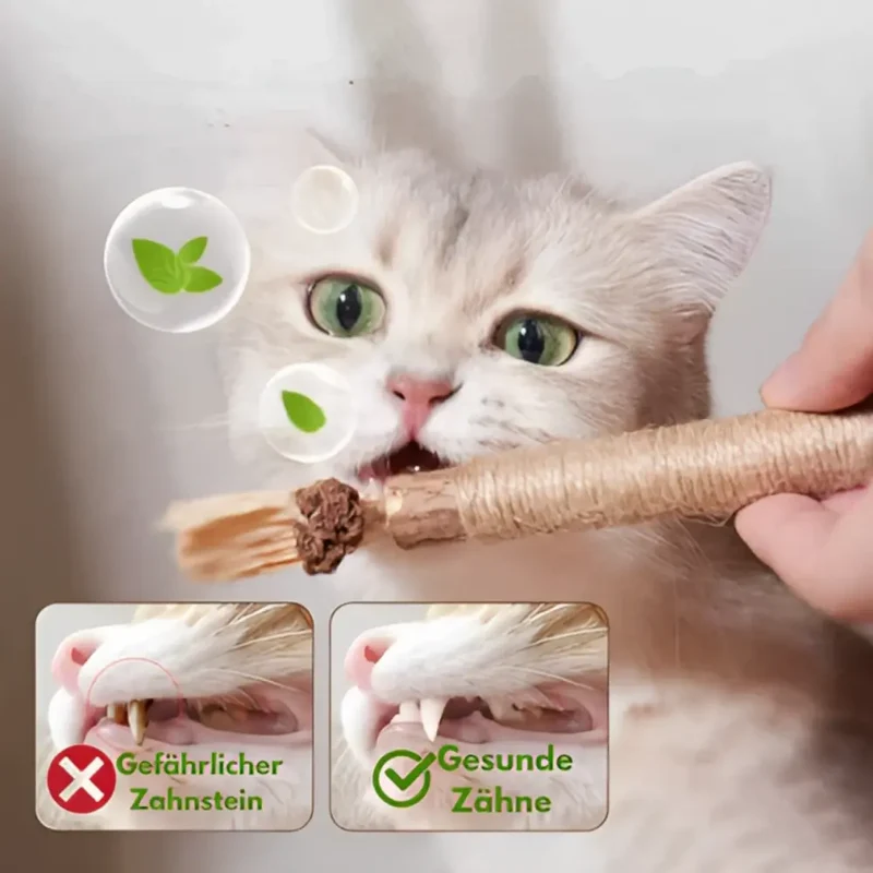 Purrfection™ | 5 x Kaustäbchen für Katzen