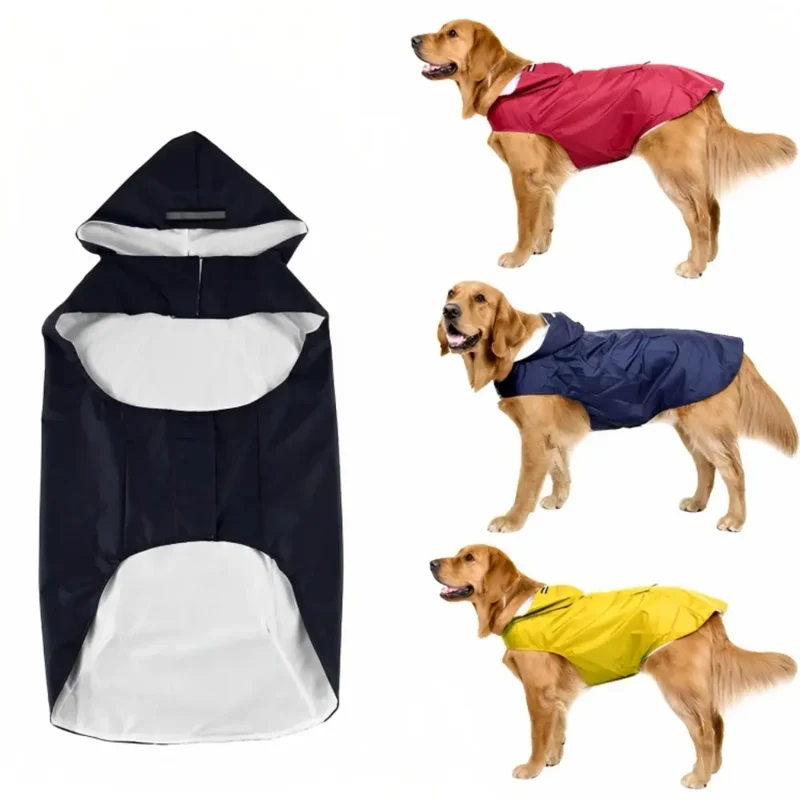 SplashSpaniel™ Spaß trotz Regen