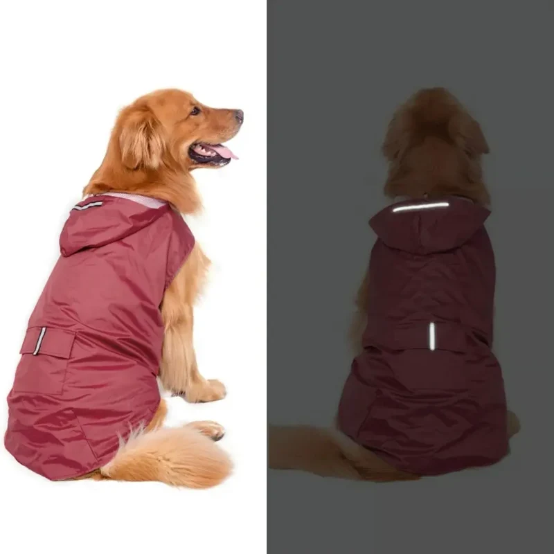 SplashSpaniel™ Spaß trotz Regen