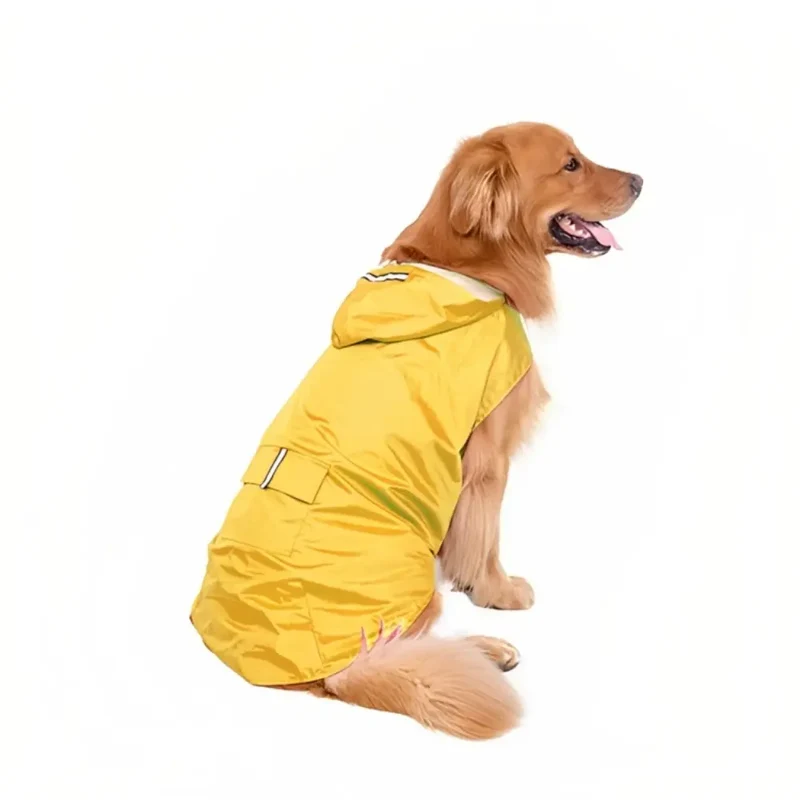 SplashSpaniel™ Spaß trotz Regen