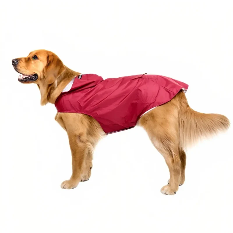 SplashSpaniel™ Spaß trotz Regen