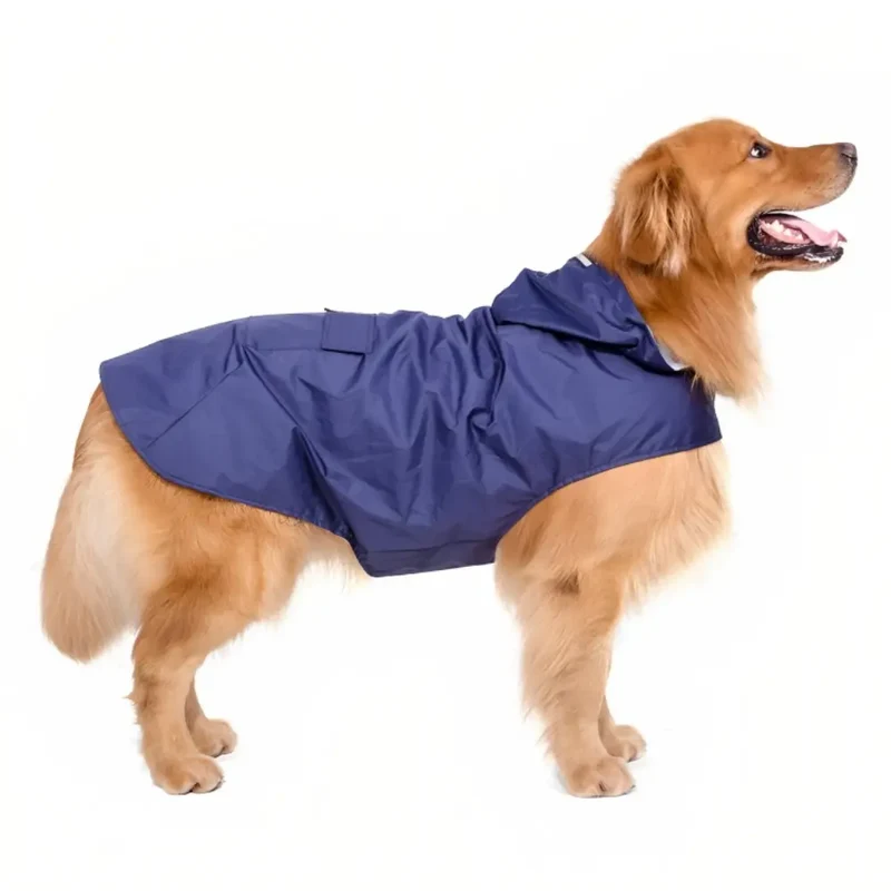 SplashSpaniel™ Spaß trotz Regen