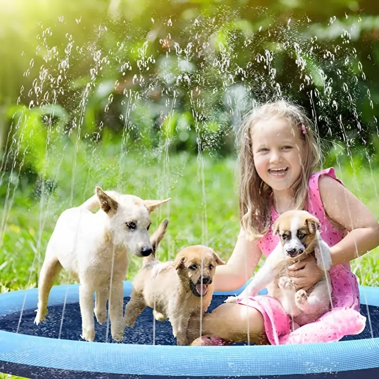 DogKühli™ | Hundespray-Kissen