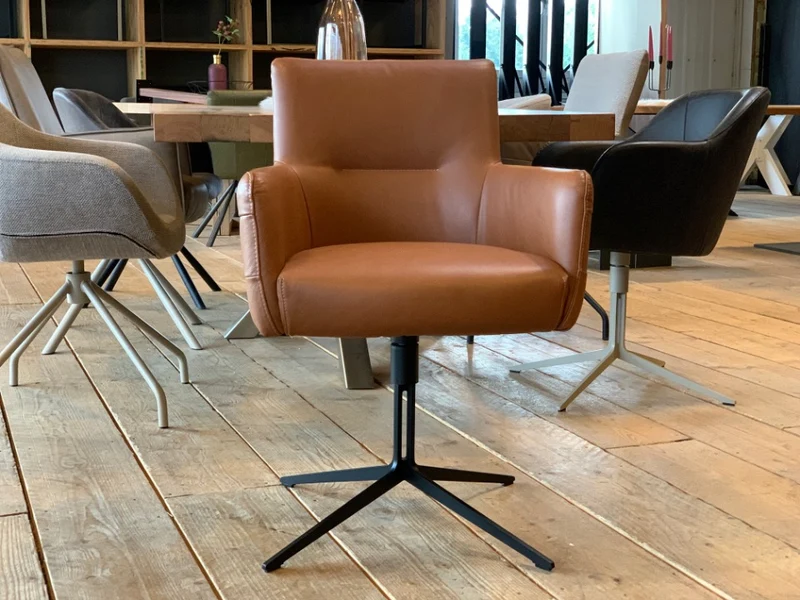 Esszimmer Lederstuhl drehbar BL119G