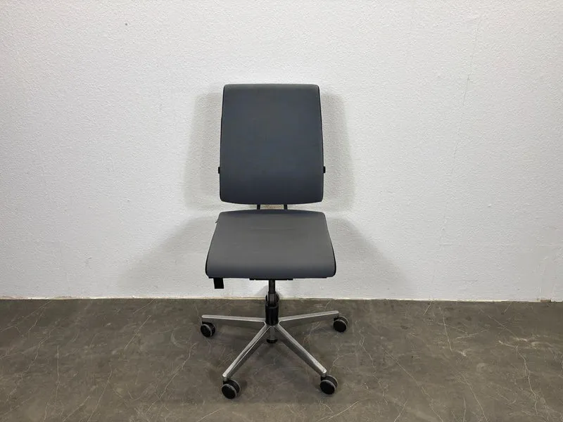 Sedus Black Dot Bürodrehstuhl Grau