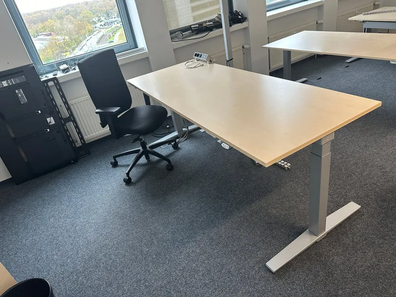König & Neurath Talo.S Elektrisch höhenverstellbarer Schreibtisch Ahorn