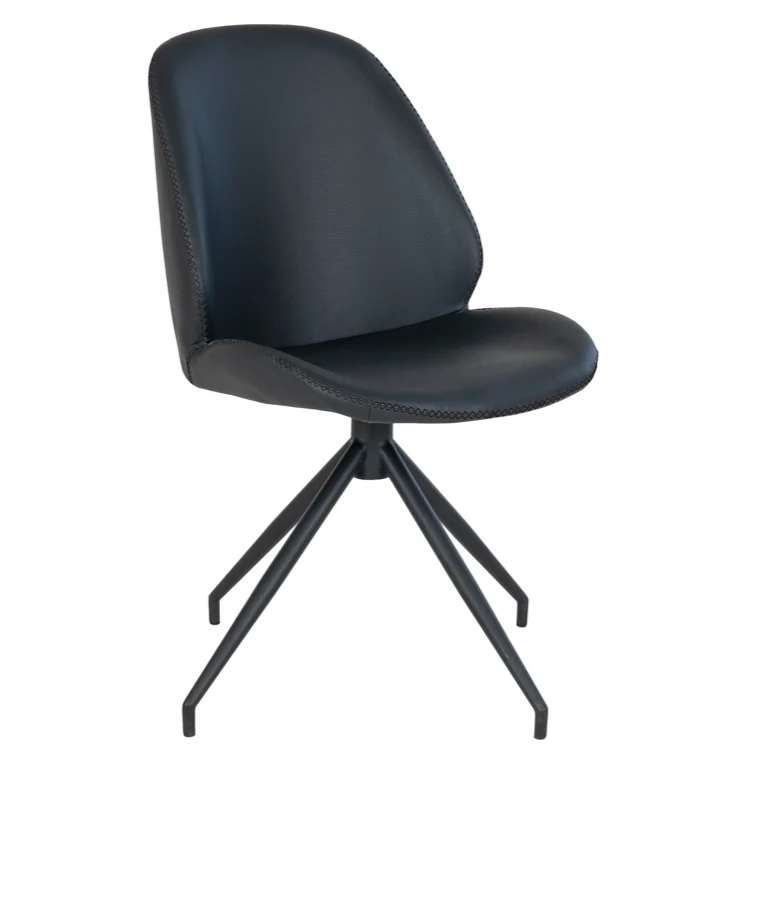 Matera Esszimmerstuhl Vincenzo 2er-Set schwarz