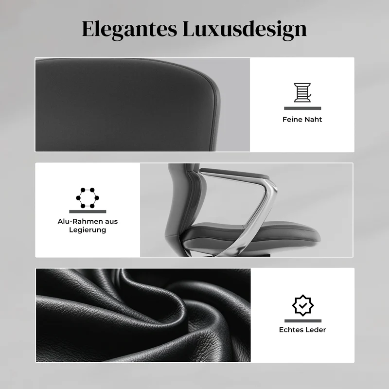 Nolan Lederstuhl mit klassischem Design