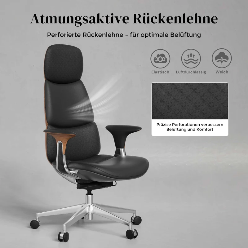 Nolan Lederstuhl mit klassischem Design