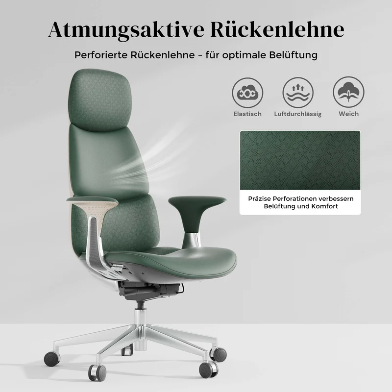 Nolan Lederstuhl mit klassischem Design
