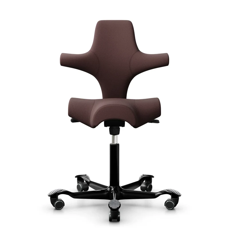 HÅG Capisco 8106 - SC61186 Chestnut