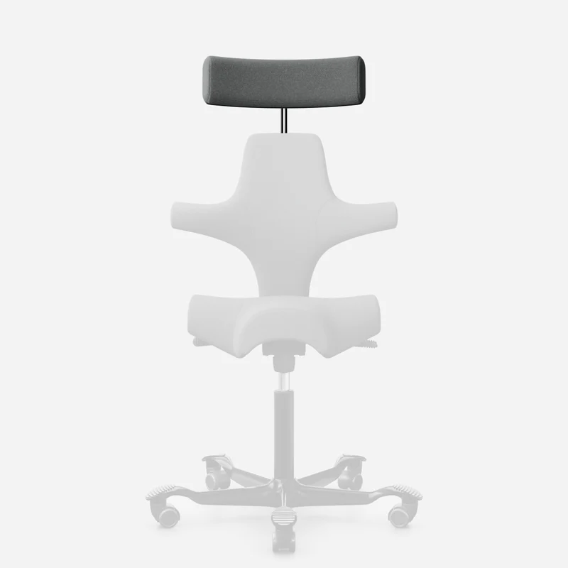 HÅG CAPISCO HEADREST (COMPLETE)