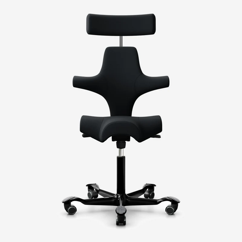 HÅG Capisco 8107 - Leather