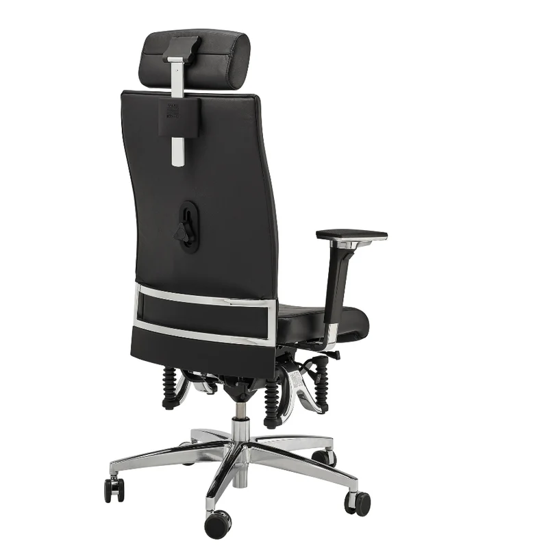 Haider Bioswing 660 iQ LEDER - Bestseller