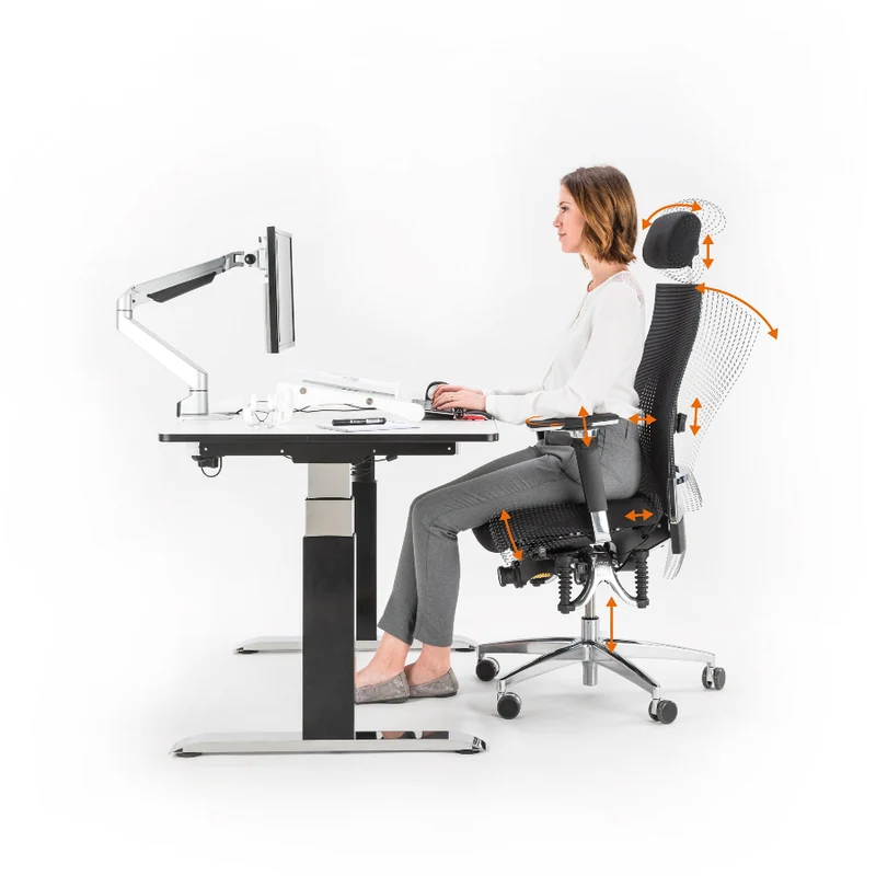 Haider Bioswing 660 iQ LEDER - Bestseller