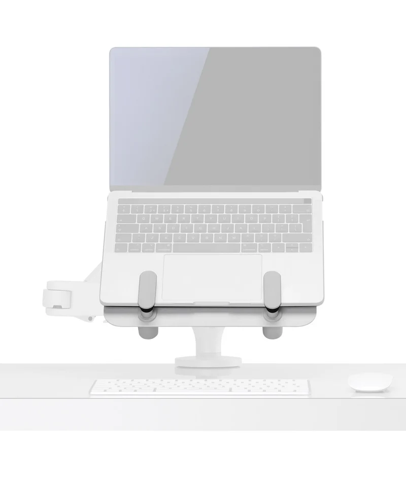 Ollin Laptop- und Tablet-Halterung
