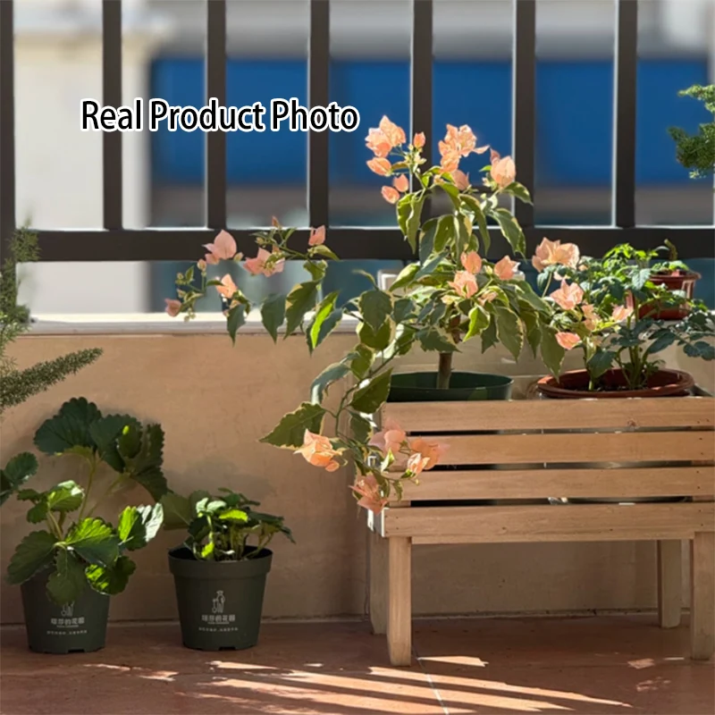 Traditional Rustic Pine Wood Rectangular Indoor Flower Storage Shelf 1/2/3-Tier For Balcony & Living Room